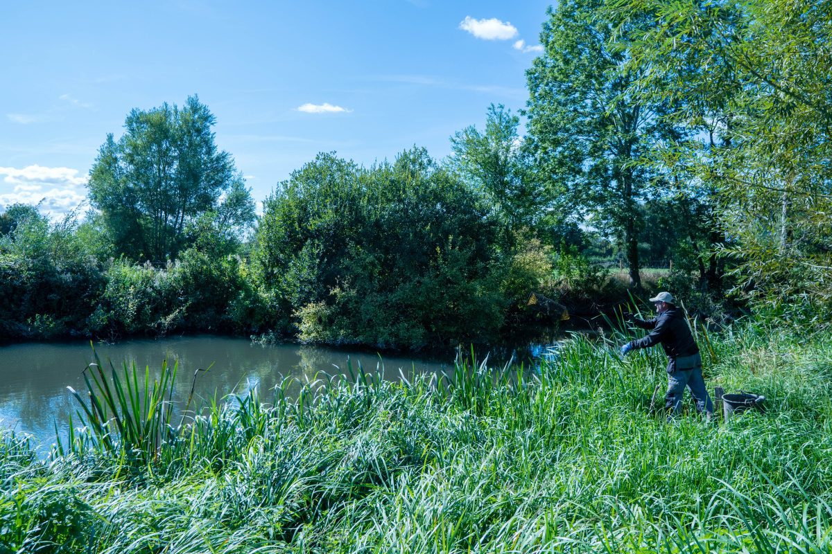 Kennet Crayfish