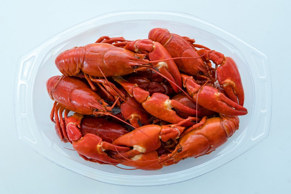 Kennet Crayfish