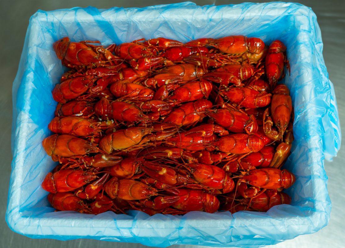 Kennet Crayfish