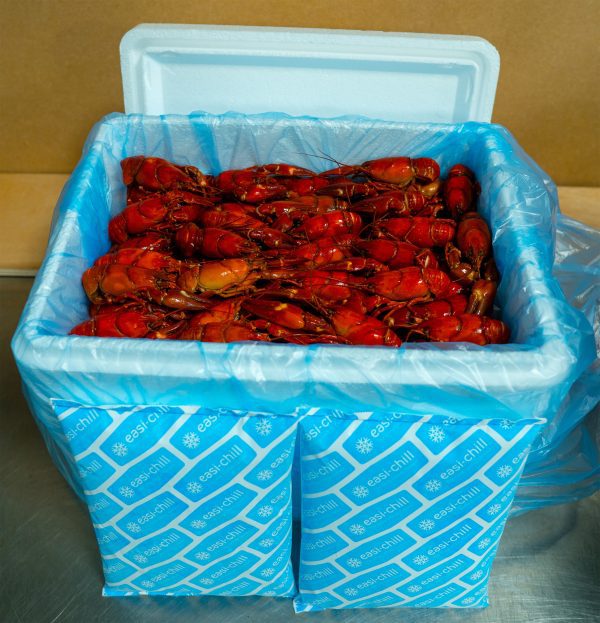 Freshly Cooked Crayfish - Image 3