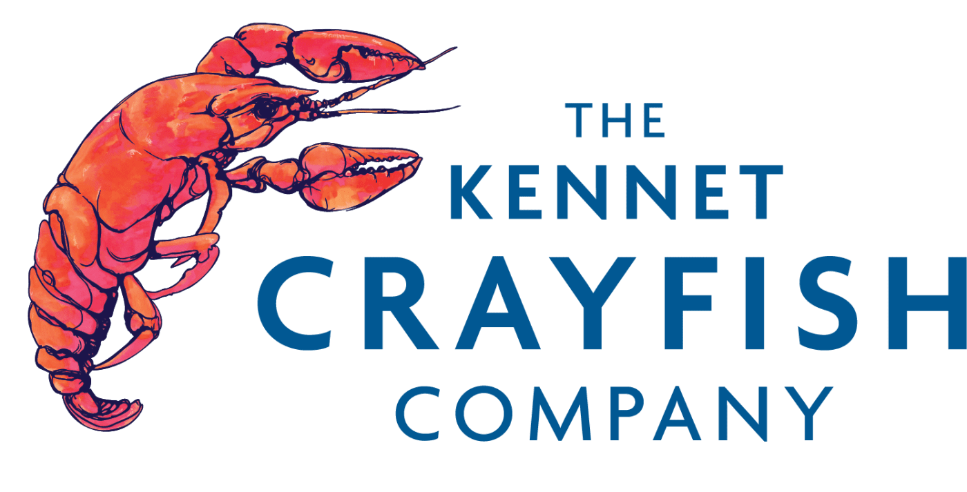 Kennet Crayfish
