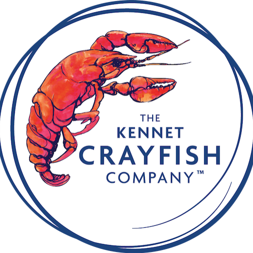 Hand Crafted Indian Glass - Image 4